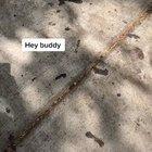 He just needed a little help!