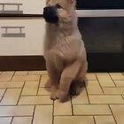 Those are some serious tippy taps!