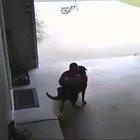 Kid sneaks into neighbor's garage everyday to hug their dog he loves so much