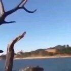 Guy stands on branch