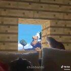 Found this on tiktok and it made my day