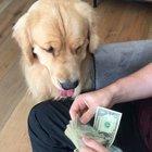 Best tax man out there!