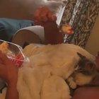 I would like some please.