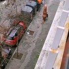 Spain in Quarantine: Day 3