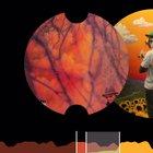 That Part + Who Dat Boy. Chaos that works?