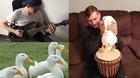 Drumming duck + Michael Jackson = Smooth Duckinal