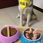 F in the chat, bois.