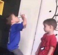 Siblings in a nutshell.