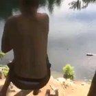 HMB while I swing on this vine