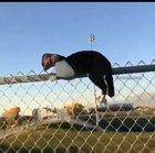 are you are serious?