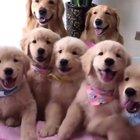 Get in for the family photo