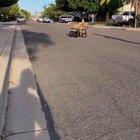 Handicapped pupper zooming to a snacc