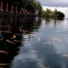 Underwater camera, HQ