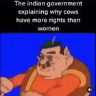 Do not question the Gods