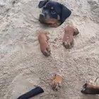 Every ALTCOINer right now