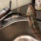 Wash your hands before dinner.