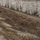3 kids floating down a river on an ice shell