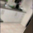 Cat startled by tin foil