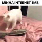 Quando minha internet trava