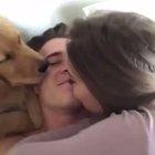 I hope I have something like this in another life <3