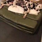 Parenting can be tough!