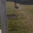 sarbatori linistite!!!!