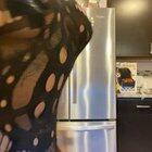 Fishnet in Kitchen