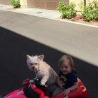 When you're just too young to drive