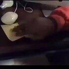 Cut screams quarantine edition