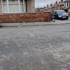 Karma is the most real thing that exists