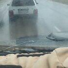 Idiot? Genius? Thin line between the two...