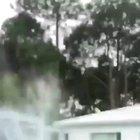 In Uruguay someone threw a pig from an helicopter