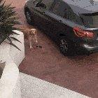 We're going for a Riiiiiiiide!