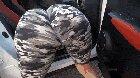 Car twerk