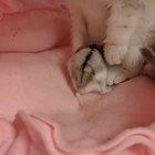 This video made my day