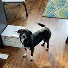 She does this every day at walk time