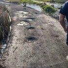 Idiot tries to intimidate goose