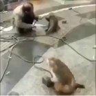 How to tables have turned