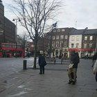 Wake up you bastard! - A man tries to bring pigeon back from the dead in london