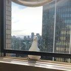 selfish deepthroating seagull