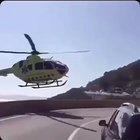 Upvote or your mom turns into a Caribbean Monkey Snake