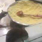 'Let's grab a pizza at Domino's', they said.... 'It Will Be Fun', they said...