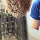 If she wasn’t wearing a bra, it would be game over