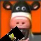 my first ever funny arab halam porkarab