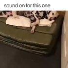 Thought this was quite FUNNY