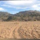 40 second story from the lease.