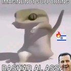 Al Lizard shows his support for Assad