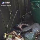 Was not expecting that