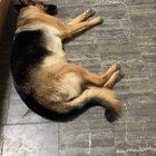 I know a snack when I hear one.