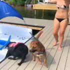 That's not how legs are meant to work.